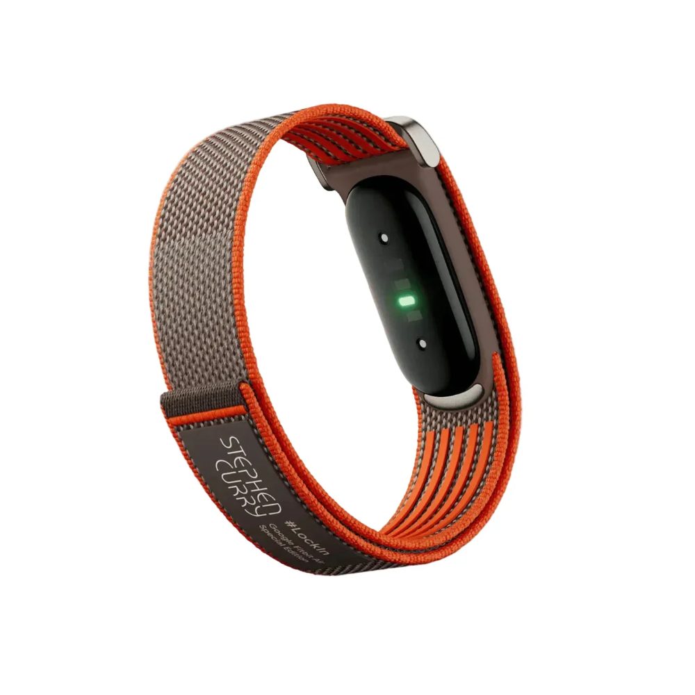 Google Fitbit Air Special Edition